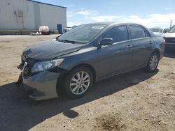 Salvage cars for sale at Tucson, AZ auction: 2010 Toyota Corolla Base