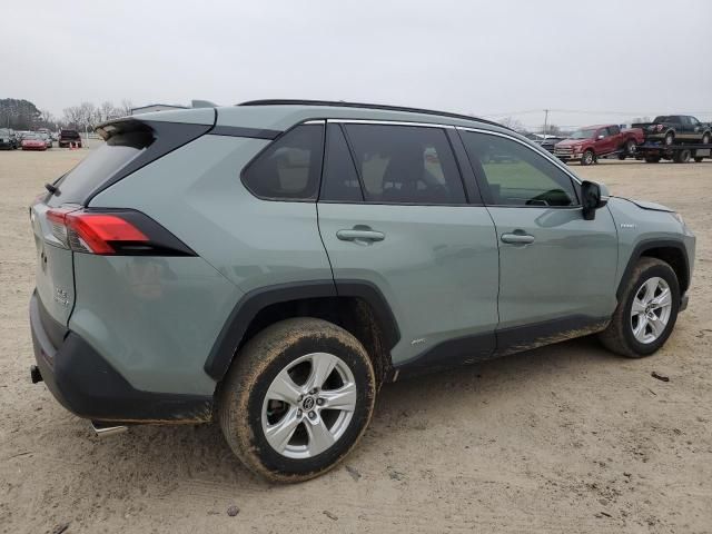 2019 Toyota Rav4 XLE