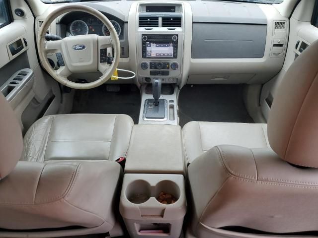 2009 Ford Escape XLT