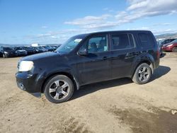 Salvage cars for sale at American Canyon, CA auction: 2015 Honda Pilot SE