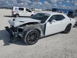 2023 Dodge Challenger R/T Scat Pack en venta en Arcadia, FL