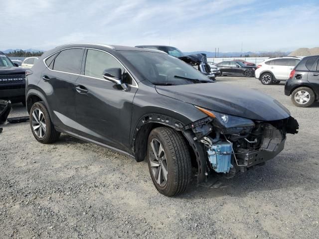 2021 Lexus NX 300 Base