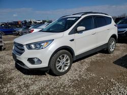 Carros salvage sin ofertas aún a la venta en subasta: 2018 Ford Escape SEL