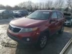 2011 KIA Sorento EX