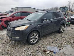 Salvage cars for sale at Wayland, MI auction: 2013 Ford Escape SEL