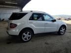 2007 Mercedes-Benz ML 350