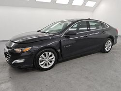 Salvage cars for sale at Van Nuys, CA auction: 2023 Chevrolet Malibu LT