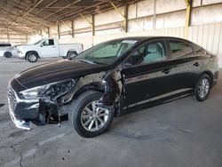 Salvage cars for sale at Phoenix, AZ auction: 2019 Hyundai Sonata SE