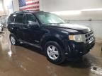 2009 Ford Escape XLS