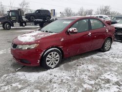 2010 KIA Forte EX en venta en Walton, KY