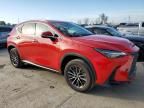 2024 Lexus NX 250 Base