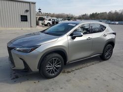 Salvage cars for sale at Savannah, GA auction: 2023 Lexus NX 350