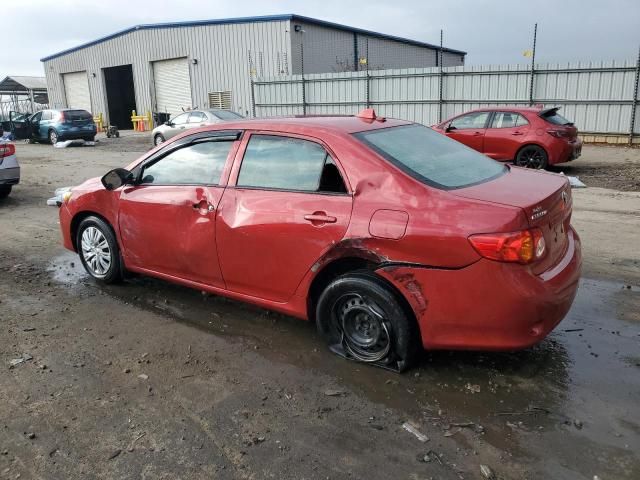 2010 Toyota Corolla Base