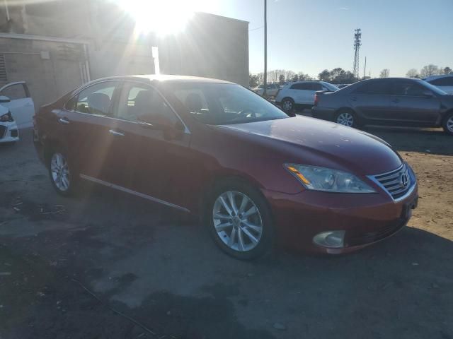 2010 Lexus ES 350