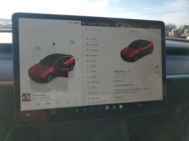 2023 Tesla Model Y