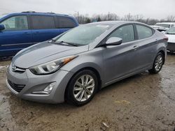 Salvage cars for sale at Louisville, KY auction: 2014 Hyundai Elantra SE