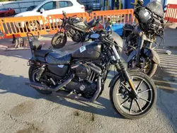 Harley-Davidson xl883 n Vehiculos salvage en venta: 2021 Harley-Davidson XL883 N