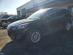 Salvage cars for sale at Mcfarland, WI auction: 2020 Ford Escape SE