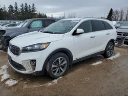 2019 KIA Sorento EX en venta en Bowmanville, ON