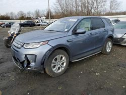 Land Rover Discovery salvage cars for sale: 2021 Land Rover Discovery Sport S