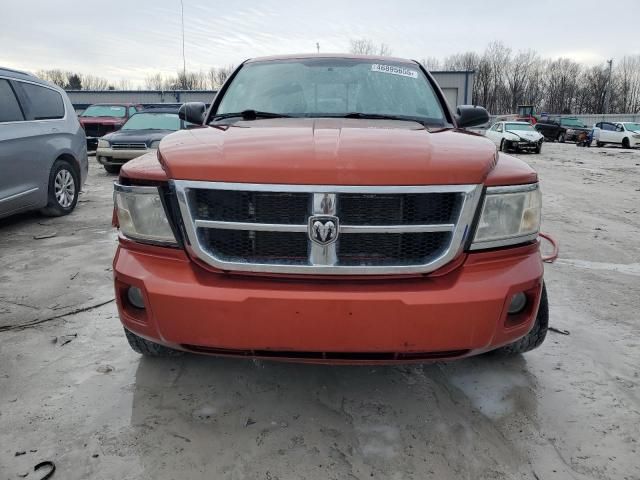 2008 Dodge Dakota Quad SLT