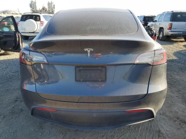 2020 Tesla Model Y