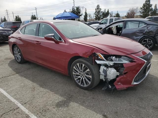 2019 Lexus ES 350