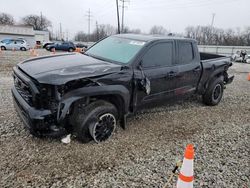 Salvage cars for sale at Columbus, OH auction: 2024 Toyota Tacoma Double Cab