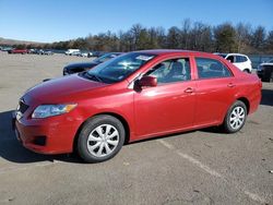 Salvage cars for sale at Brookhaven, NY auction: 2009 Toyota Corolla Base