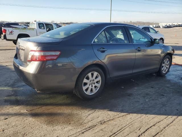 2009 Toyota Camry Hybrid