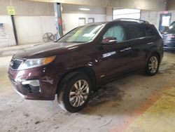 Salvage cars for sale at Indianapolis, IN auction: 2011 KIA Sorento SX