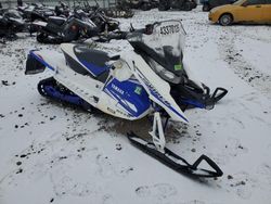 Salvage motorcycles for sale at Appleton, WI auction: 2015 Other Snow Mobile Snowmobile