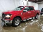 2024 Ford F150 XLT