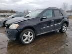 2008 Mercedes-Benz ML 350