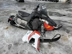 Salvage motorcycles for sale at Albany, NY auction: 2016 Polaris Snowmobile