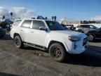 2022 Toyota 4runner SR5/SR5 Premium