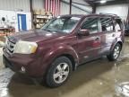 2009 Honda Pilot EXL