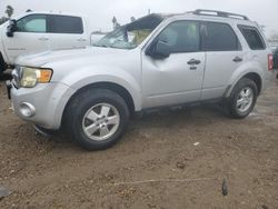 Salvage cars for sale at Mercedes, TX auction: 2009 Ford Escape XLT