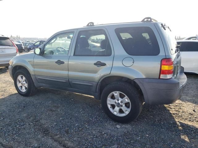 2006 Ford Escape XLT