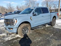 2023 Ford F150 Supercrew en venta en Marlboro, NY