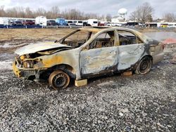 Salvage cars for sale at Hillsborough, NJ auction: 2005 Toyota Camry LE