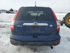 2007 Honda CR-V EXL