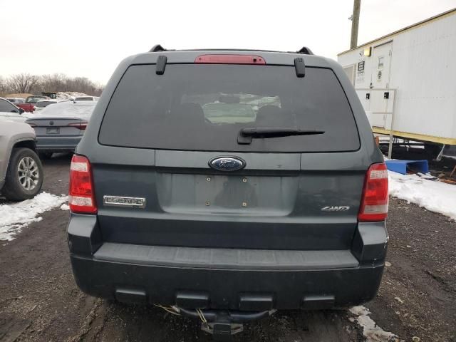 2008 Ford Escape XLT