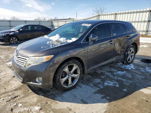 2010 Toyota Venza