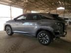 2020 Lexus RX 350 Base