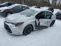 Salvage cars for sale from Copart Cookstown, ON: 2021 Toyota Corolla