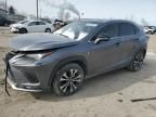 2019 Lexus NX 300 Base