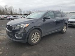 Salvage cars for sale at Portland, OR auction: 2016 KIA Sorento LX