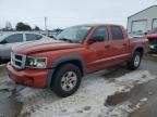 2008 Dodge Dakota TRX