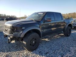 Salvage cars for sale at Byron, GA auction: 2013 Ford F150 SVT Raptor